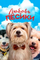 Любовь и пёсики 2023 постер