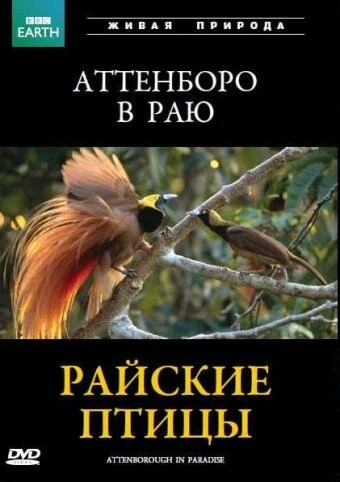 Постер BBC: Райские птицы 1996
