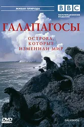 BBC: Галапагосы 2006 постер