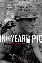 В год свиньи 1968 постер