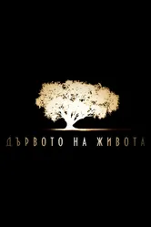 Древо жизни 2013 постер