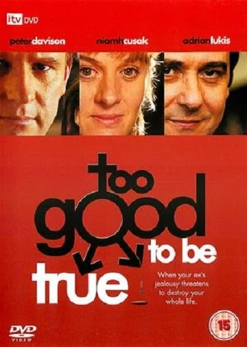 Постер Too Good to Be True 2003