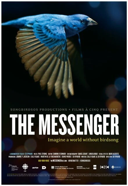 Постер The Messenger 2015