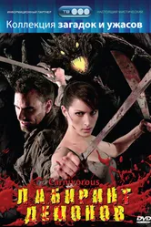 Лабиринт демонов 2007 постер