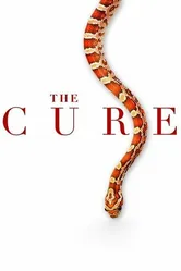 The Cure 2015, США постер