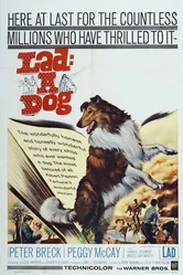 Lad: A Dog постер