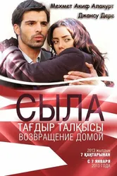 Сыла. Возвращение домой 2006 постер
