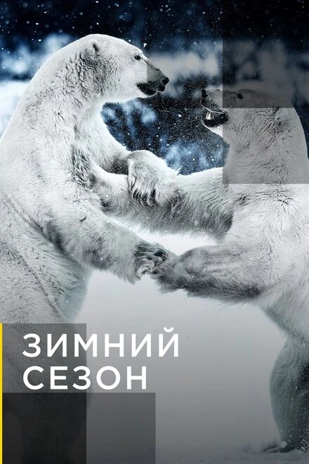Постер Зимний сезон 2011