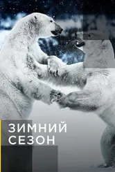 Зимний сезон 2011 постер