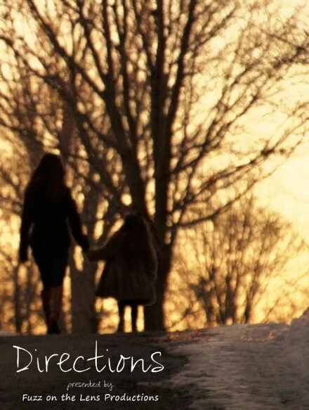 Постер Directions 2014, США