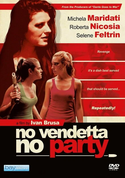 Постер No vendetta no party
