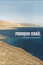 Почему Израиль 1973 постер