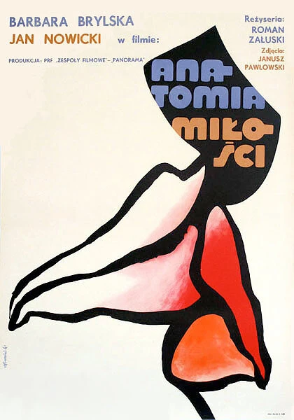 Постер Анатомия любви 1972