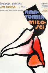 Анатомия любви 1972 постер