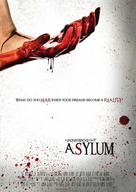 Постер Asylum 2013