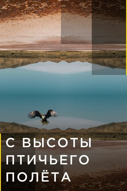 Постер С высоты птичьего полета 2015