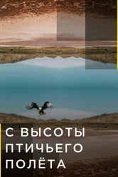 С высоты птичьего полета 2015 постер