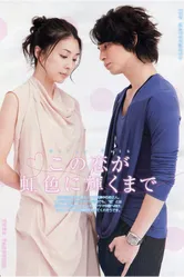 Любовь в радужном сиянии 2010 постер
