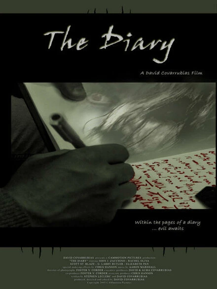 Постер The Diary 2004