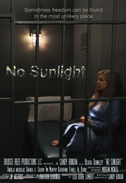 Постер No Sunlight