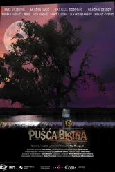 Pusca Bistra постер