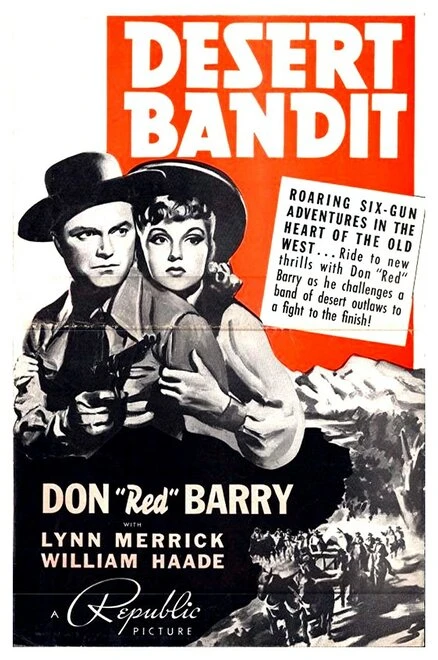 Постер Desert Bandit