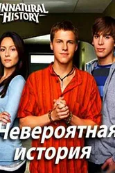 Невероятная история 2010 постер
