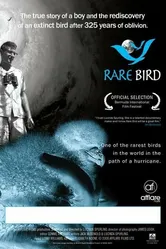 Rare Bird постер