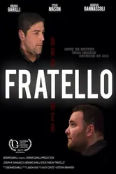Fratello 2013 постер