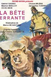 La bête errante постер