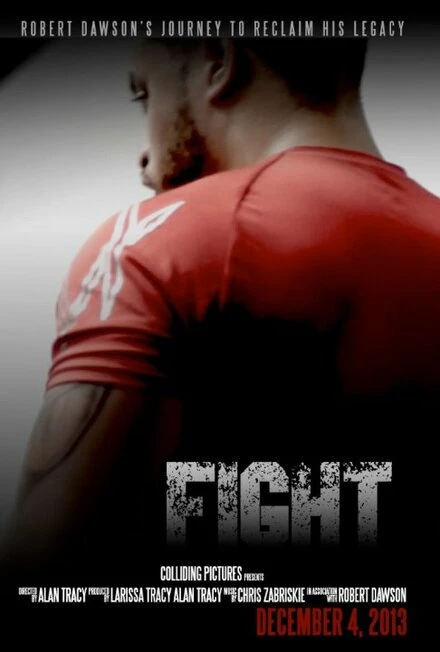 Постер Fight 2013