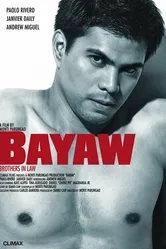Сводные братья 2009 постер