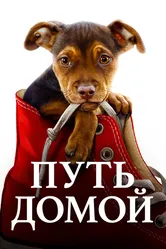 Путь домой 2019 постер