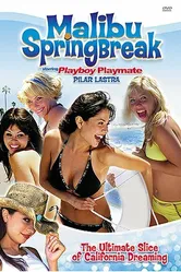 Malibu Spring Break постер
