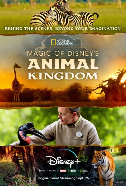 Постер Magic of Disney's Animal Kingdom