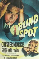 Blind Spot 1947 постер