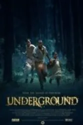 Underground 2011 постер
