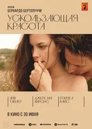 Ускользающая красота 1995 постер