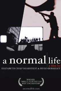 Постер A Normal Life 2003
