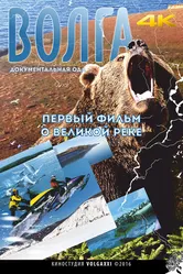 Волга 2016 постер