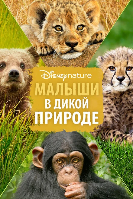 Постер Малыши в дикой природе 2015