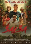Salsa постер