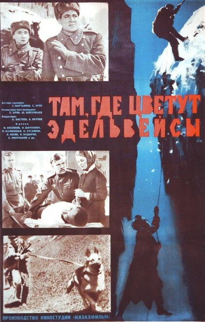 Постер Там, где цветут эдельвейсы 1965