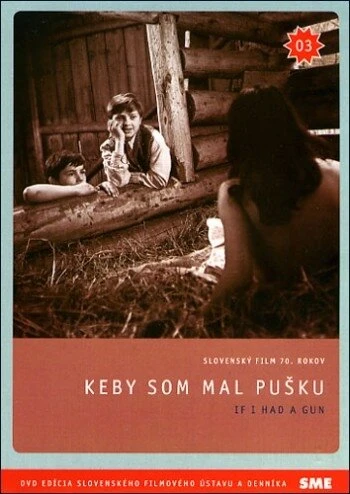 Постер Если бы у меня было ружье 1971