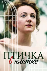Птичка в клетке 2020 постер