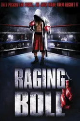 Бешеный Болл 2010 постер