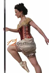 12 Days a Stripper постер