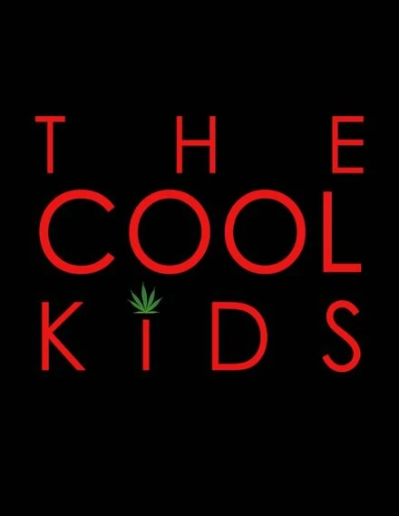Постер The Cool Kids 2016