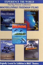 Dolphins: The Ride постер