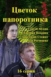 Цветок папоротника 2015 постер
